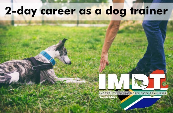 IMDT 2 DAY CAREER AS A DOG TRAINER - KENYA